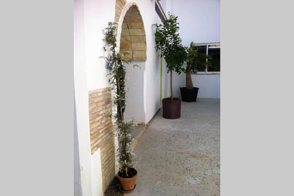 Appartamento Casa Florinda #7 Jerez de la Frontera Esterno foto